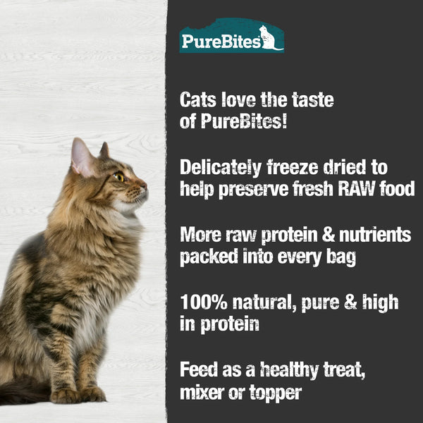 PureBites Freeze Dried Cat Treats- Minnow