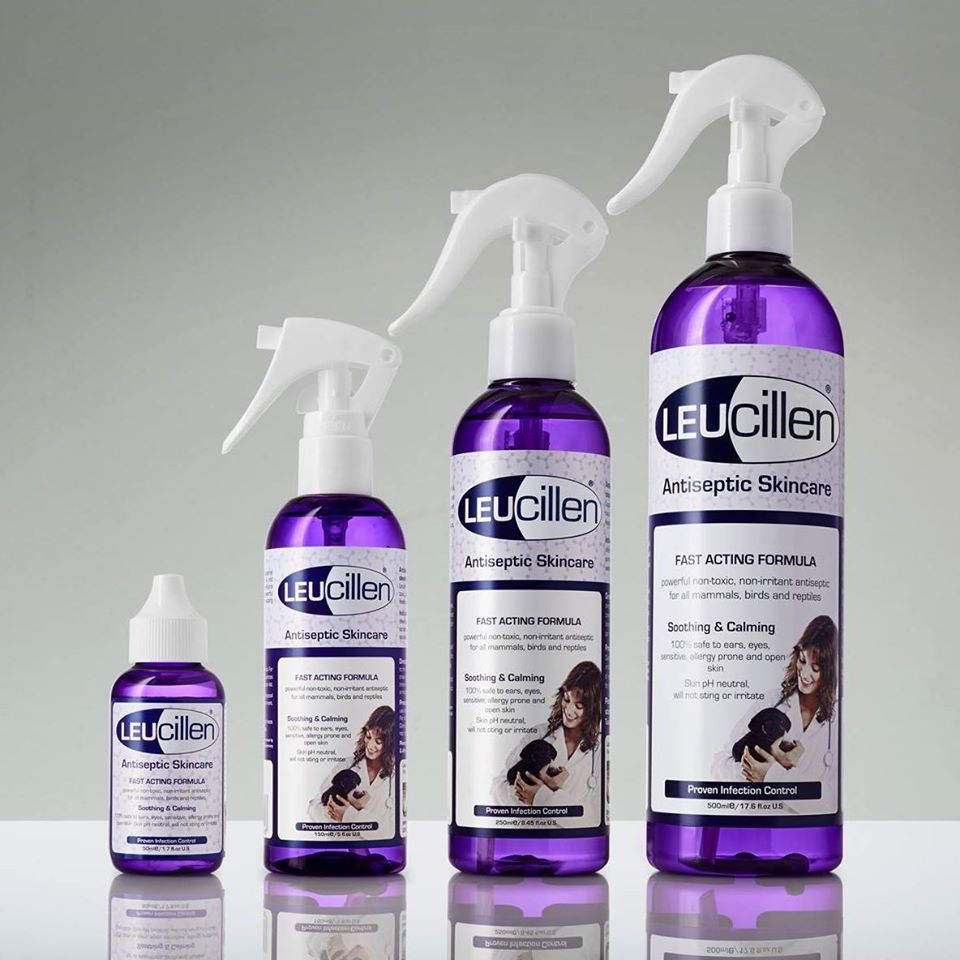 Antiseptic solution for dogs best sale