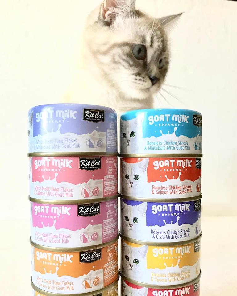 KitCat Goat Milk Gourmet Buy 11 get 1 Free