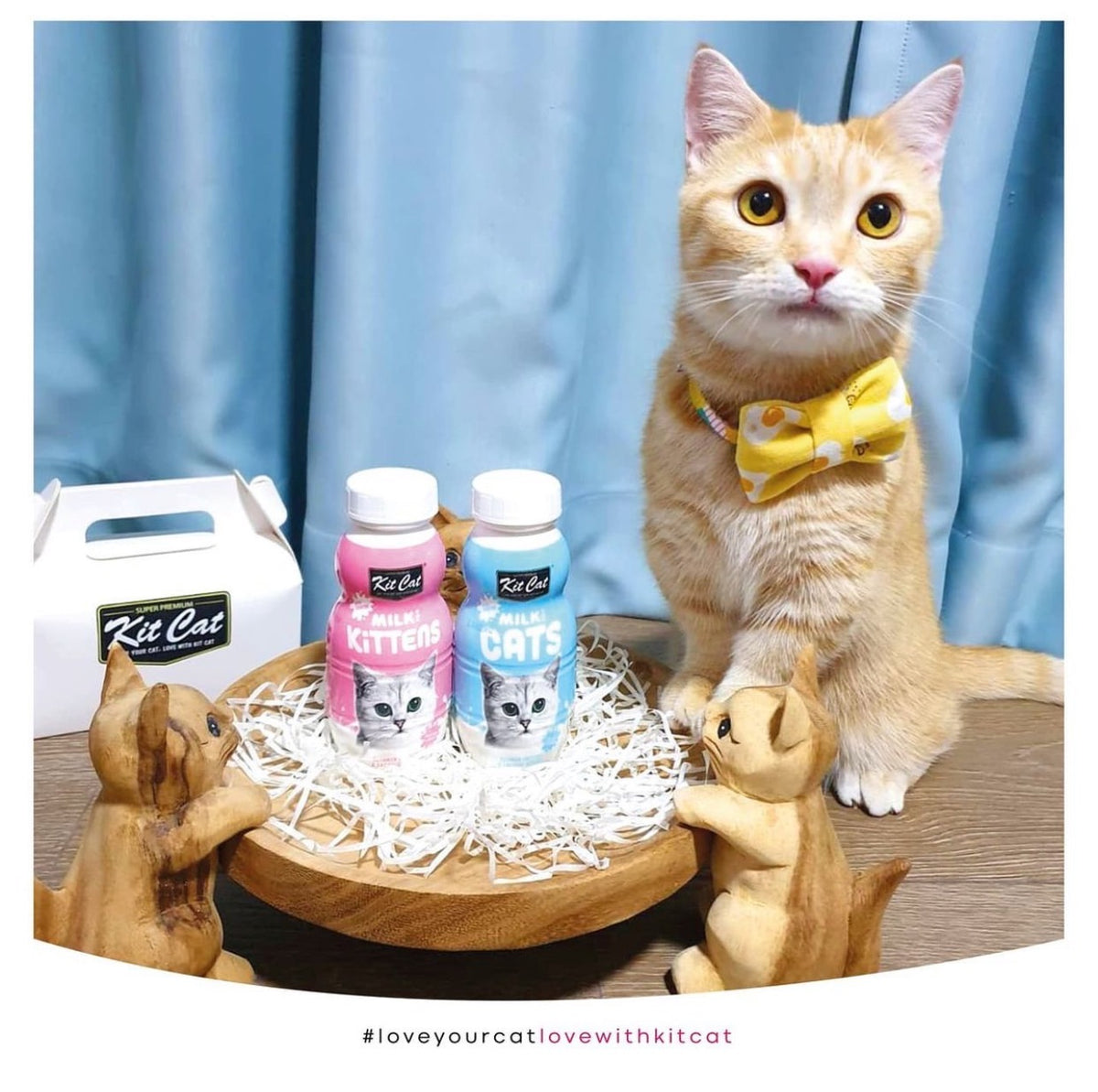 Kit cat outlet milk