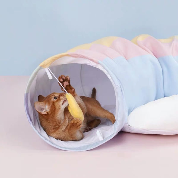 Zeze Rainbow Cat Tunnel and Bed