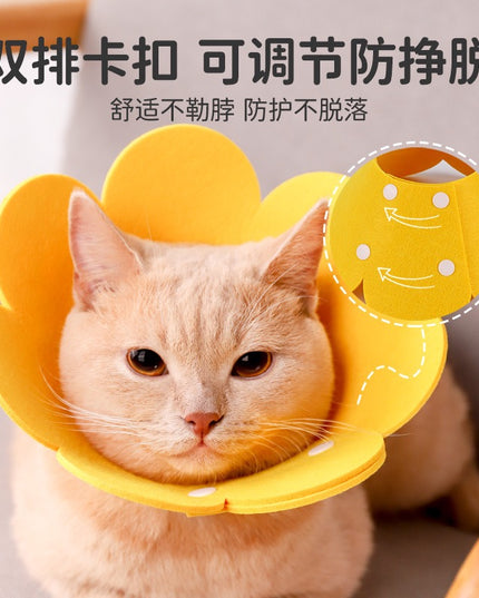 Felt Flower Cat E-Collar