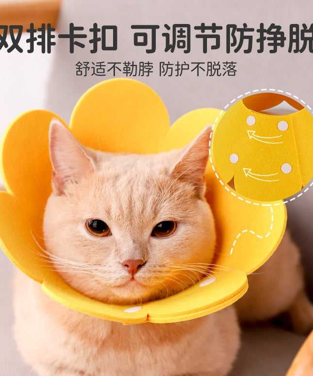 Felt Flower Cat E-Collar