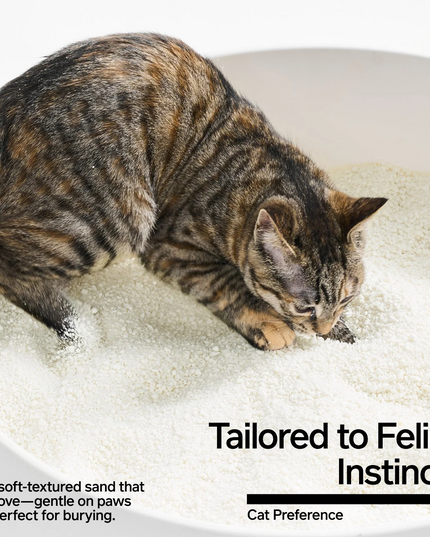 Pidan Cassava Cat Litter