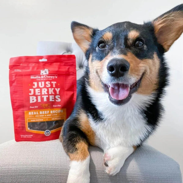 Stella & Chewy's Just Jerky Bites Real Beef Recipe