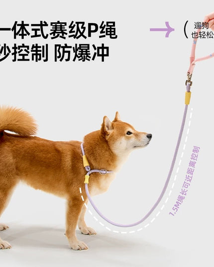 kafuli Training Slip Leash