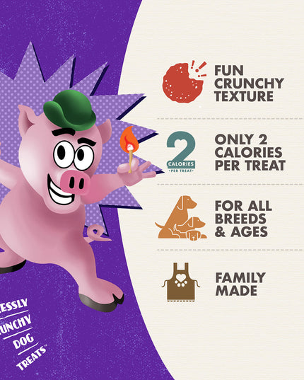 Fromm Crunchy Smokin’ Cheeseplosions Flavour Dog Treats - 170g/6oz