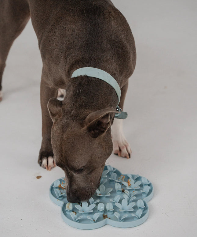 dexypaws® “Hide + Seek” Blue Flower Enrichment Snuffle Mat