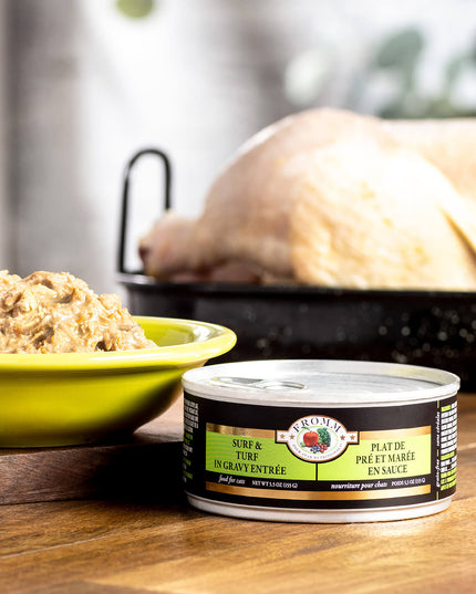 Fromm Four-Star Surf & Turf in Gravy Entrée Canned Food for Cats - 155g/5.5oz