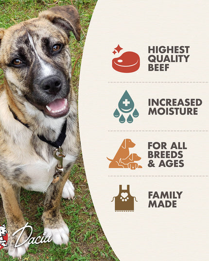 Fromm Beef & Sweet Potato PÂTÉ Dog Canned Food - 345g/12.2oz