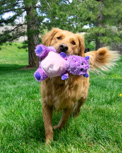 KONG Knots Belly Hippo