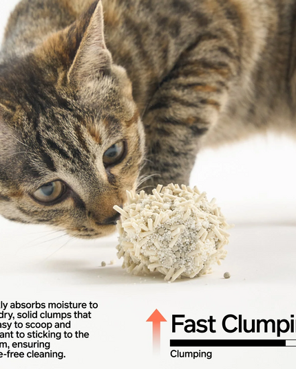 Pidan Tofu 60%, Bentonite Clay 30%, Strach 10% Cat Litter