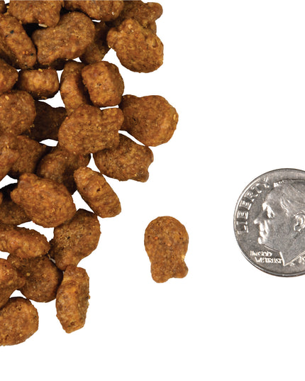 Fromm Four-Star Salmon Tunachovy® Food for Cats - 2 Sizes