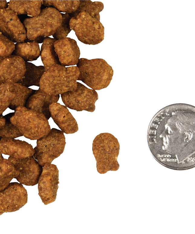 Fromm Four-Star Salmon Tunachovy® Food for Cats - 2 Sizes