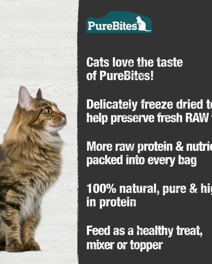 PureBites Freeze Dried Cat Treats - Minnow