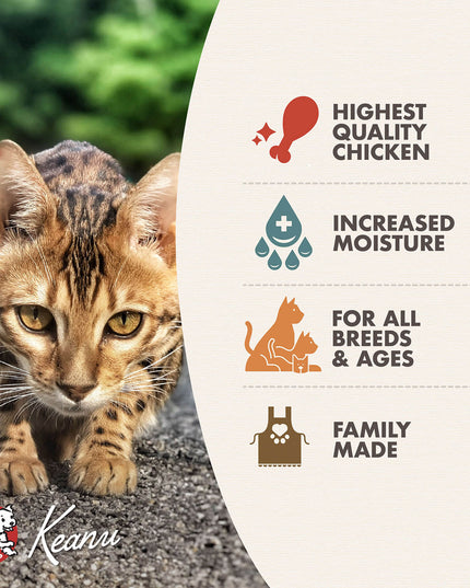 Fromm Four-Star Chicken Pâté Canned Food for Cats - 155g/5.5oz