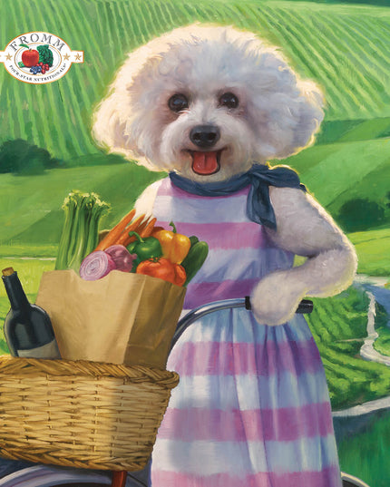 Fromm Four-Star Chicken au Frommage Recipe Food for Dogs - 3 Sizes