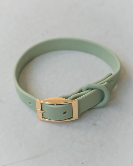 dexypaws® Waterproof Sage Green Dog Collar - 3 Sizes