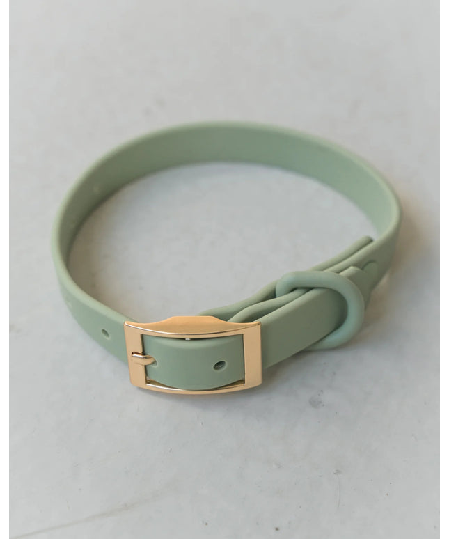 dexypaws® Waterproof Sage Green Dog Collar - 3 Sizes