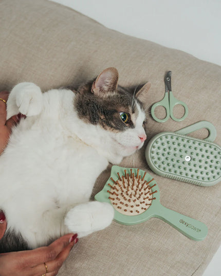 dexypaws® Purrfect Massage Cat Shaped Cushioned Brush For Pets