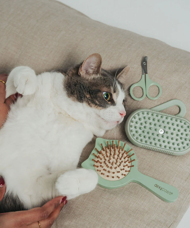 dexypaws® Purrfect Massage Cat Shaped Cushioned Brush For Pets