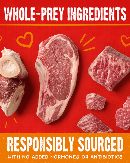 Stella & Chewy's Cage-Free Beef Raw Coated Biscuits 9oz/255g