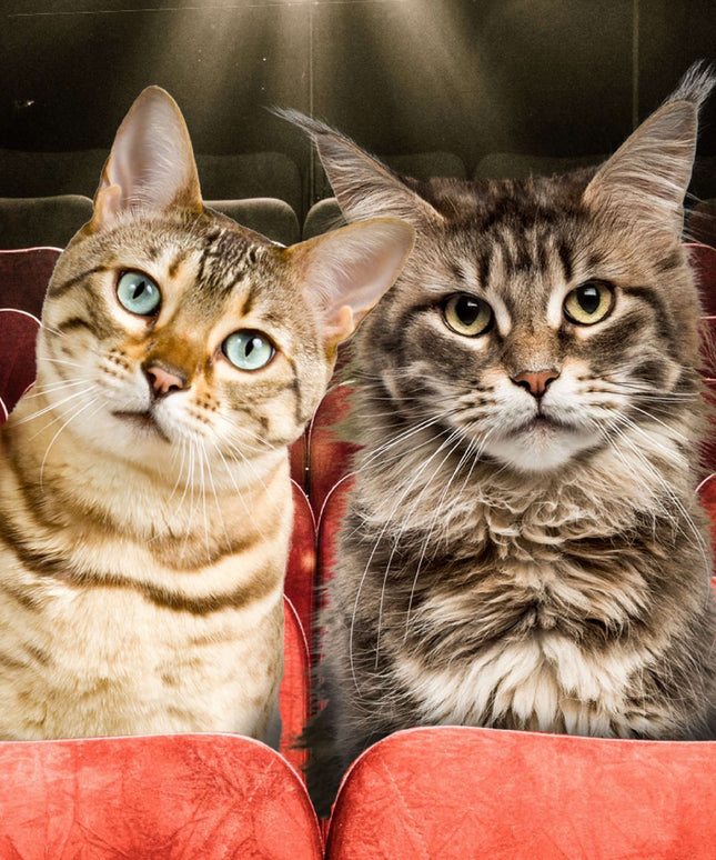 Fromm Gold Adult Cat Dry Food - 2 Sizes