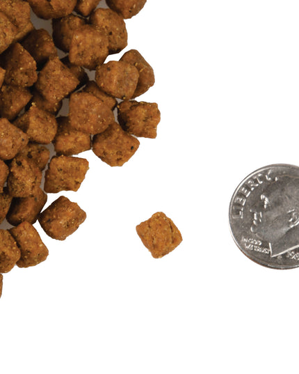 Fromm Four-Star  Beef Liva’ttini Veg® Food for Cats - 2 Sizes