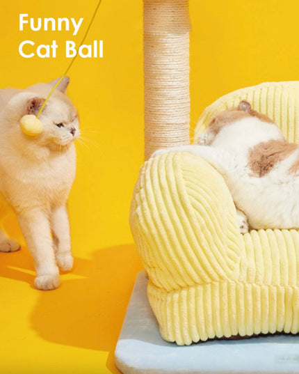 ZeZe Living Room Cat Sofa Set