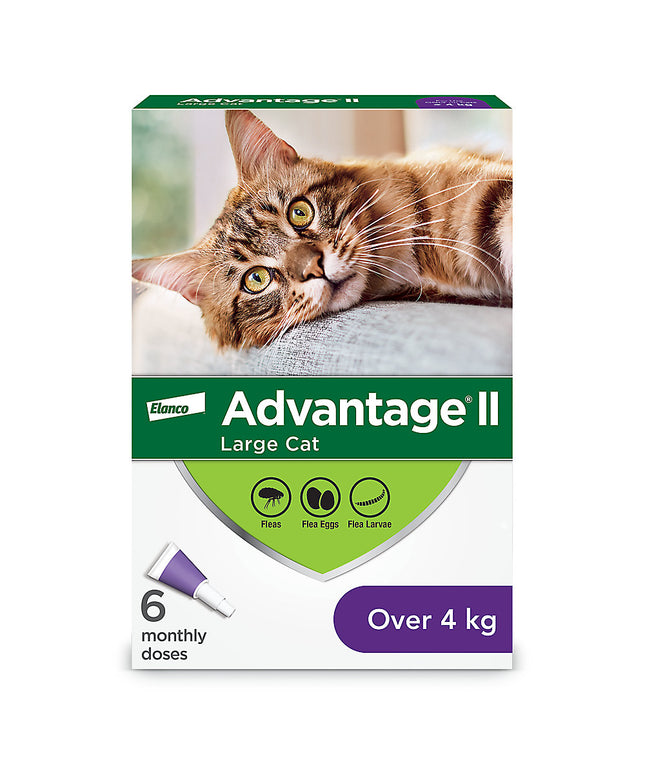 Bayer Advantage® II for cats