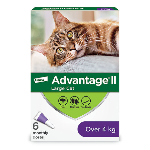 Bayer Advantage® II for cats