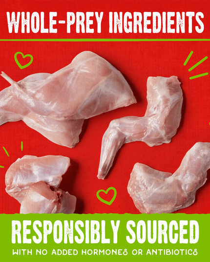 Stella & Chewy's Cage-Free Duck Raw Coated Biscuits 9oz/255g