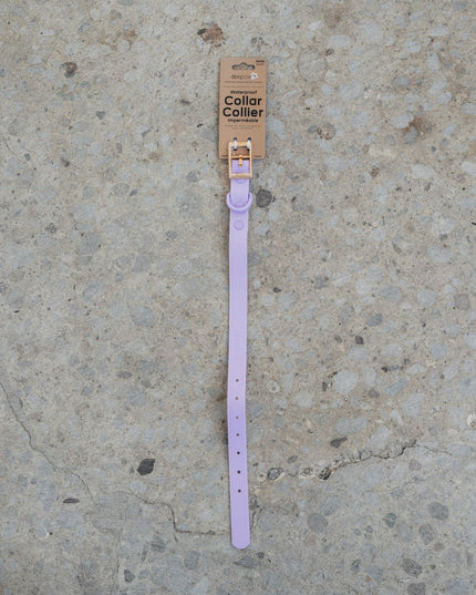 dexypaws® Waterproof Lilac Dog Collar - 3 Sizes