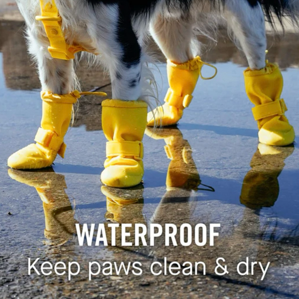 Canada Pooch Waterproof Rain Boots - Pink