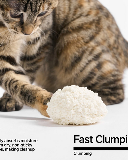 Pidan Cassava Cat Litter