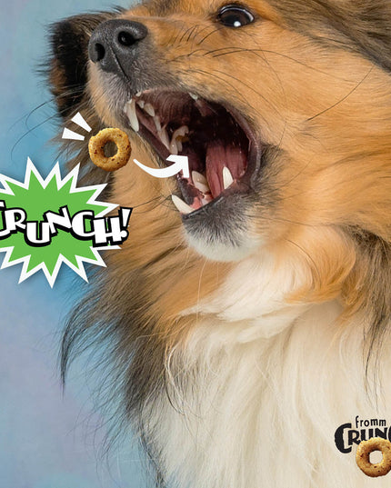 Fromm Crunchy Pumpkin Kran Pow Flavour Dog Treats - 170g/6oz