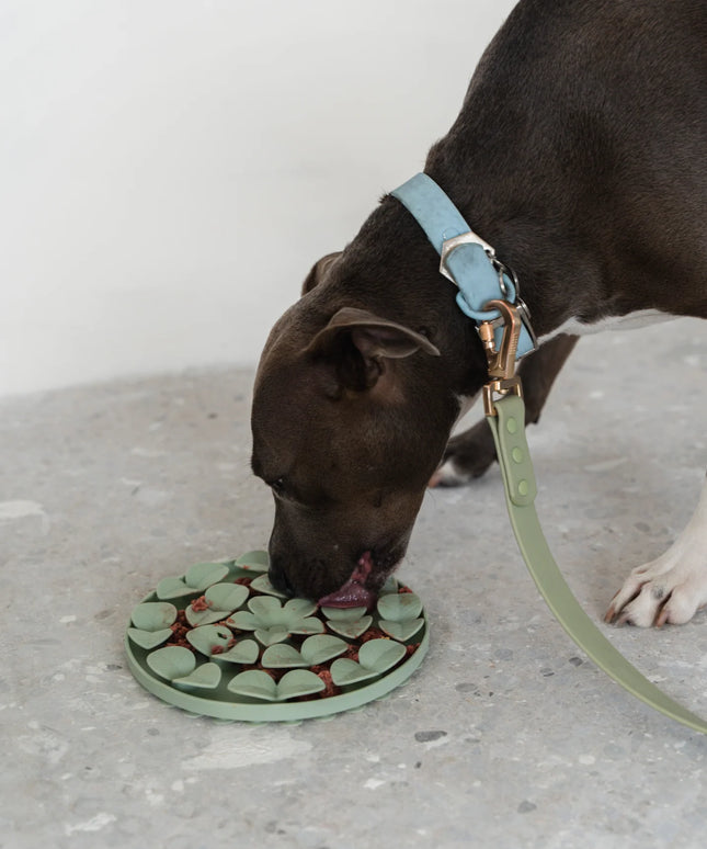dexypaws® “Hide + Seek” Sage Green Circle Enrichment Snuffle Mat