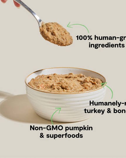 Open Farm Homestead Turkey Rustic Blend Wet Cat Food - 155g/5.5oz