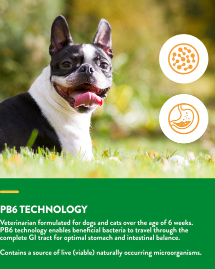 NaturVet Advanced Probiotics & Enzymes Powder - 3 Sizes