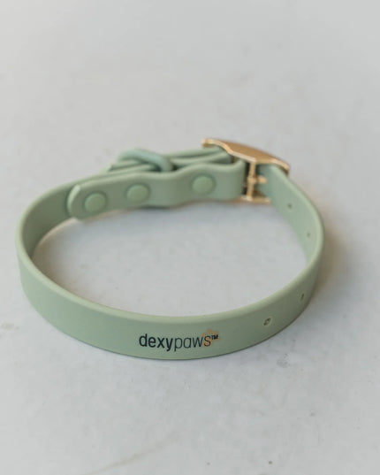 dexypaws® Waterproof Sage Green Dog Collar - 3 Sizes