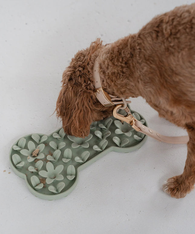 dexypaws® “Hide + Seek” Sage Green Dog Bone Enrichment Snuffle Mat