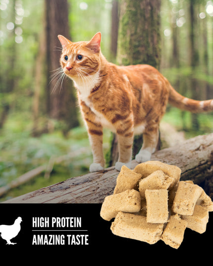 Orijen Original Freeze-dried Cat Treats - 35g