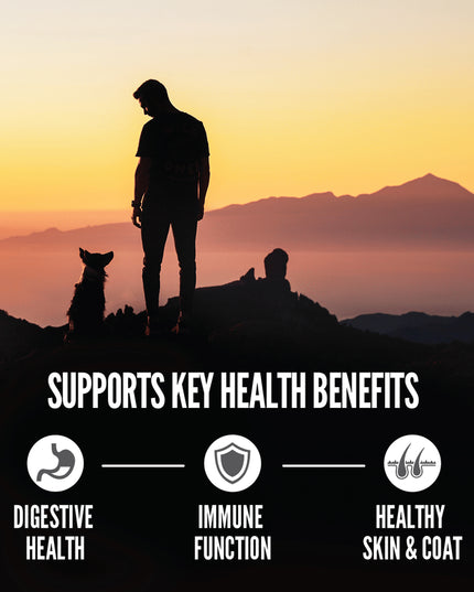 Orijen Amazing Grains Regional Red Dog Dry Food - 2 Sizes