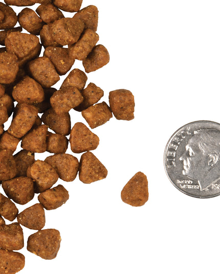 Fromm Four-Star Chicken Au Frommage® Recipe Food for Cats