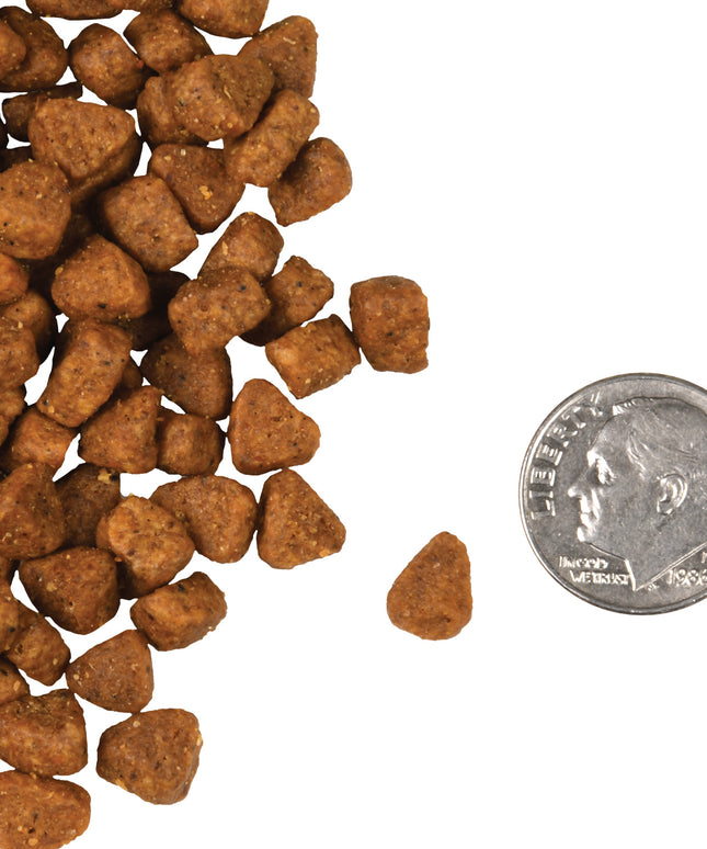 Fromm Four-Star Chicken Au Frommage® Recipe Food for Cats