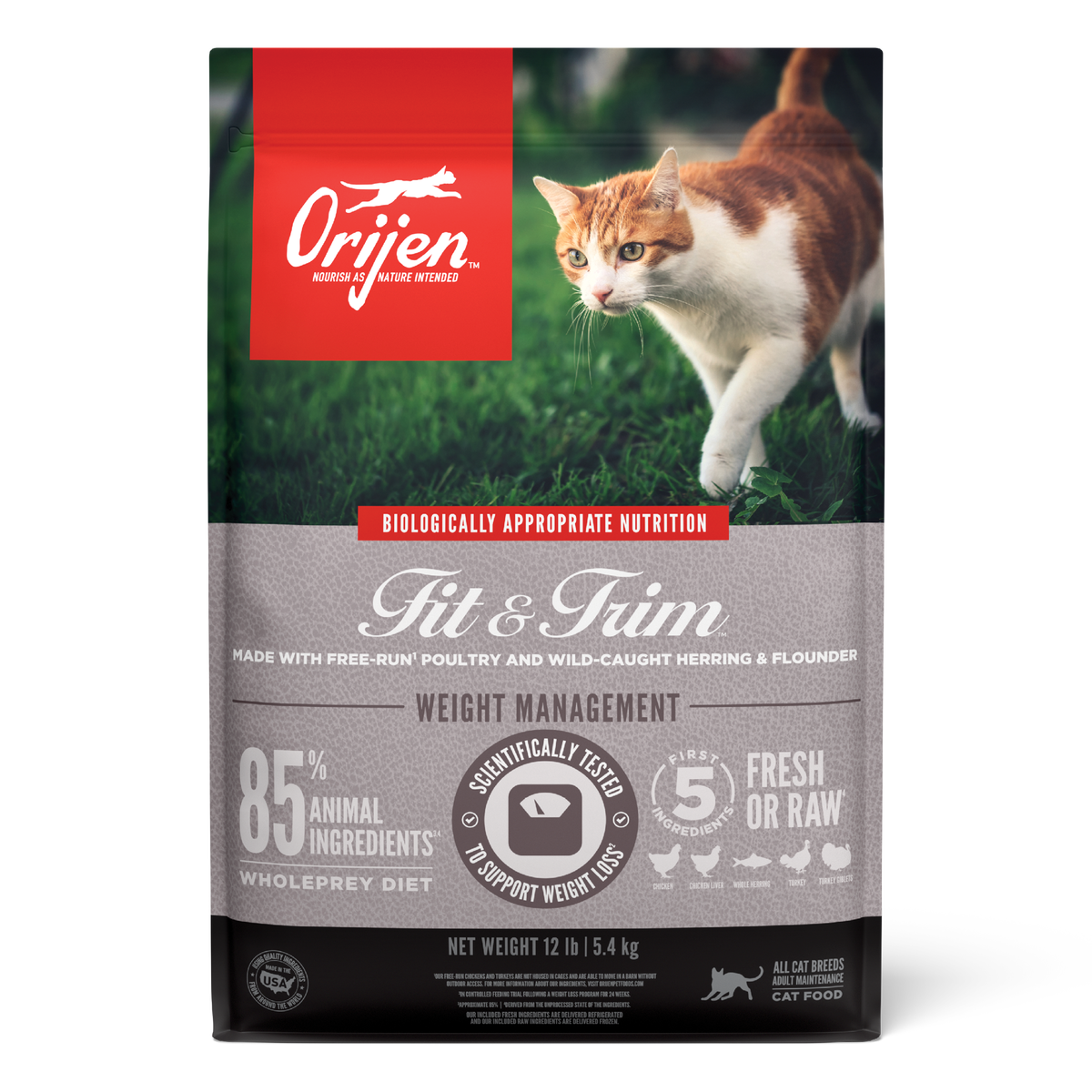 Orijen Fit & Trim Cat Dry Food