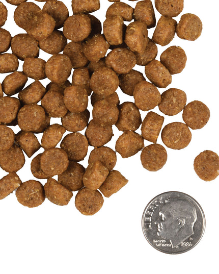 Fromm Gold Puppy Food - 3 Sizes