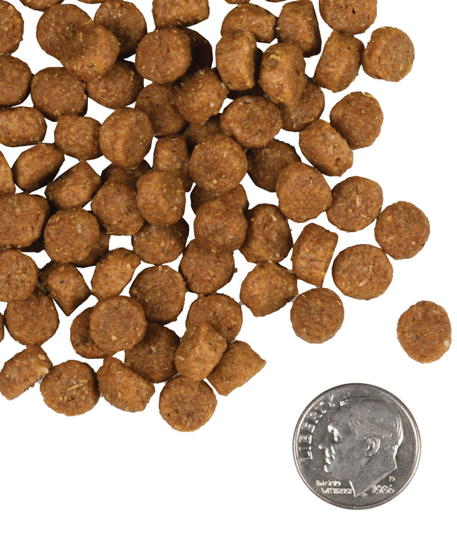 Fromm Gold Puppy Food - 3 Sizes