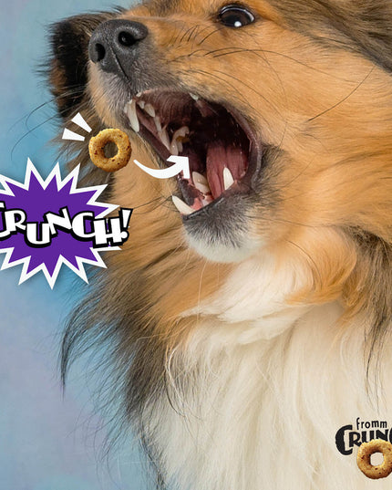 Fromm Crunchy Smokin’ Cheeseplosions Flavour Dog Treats - 170g/6oz