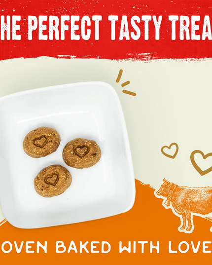 Stella & Chewy's Cage-Free Beef Raw Coated Biscuits 9oz/255g